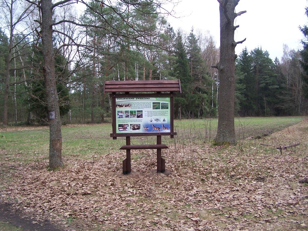 ...cd. ścieżki edukacyjnej - Fot. Łukasz Łopiński