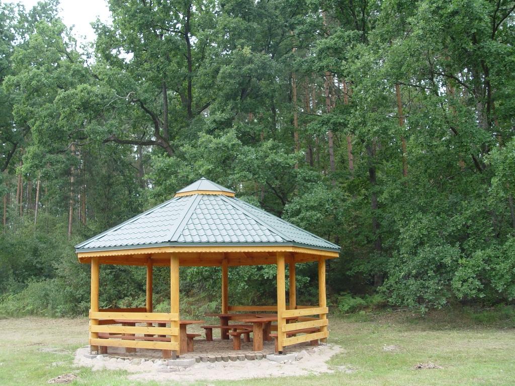 Altana w Jerzyskach - L. Szumin  Fot. archiwum nadleśnictwa